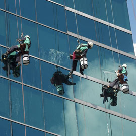 Rope Access Gloves